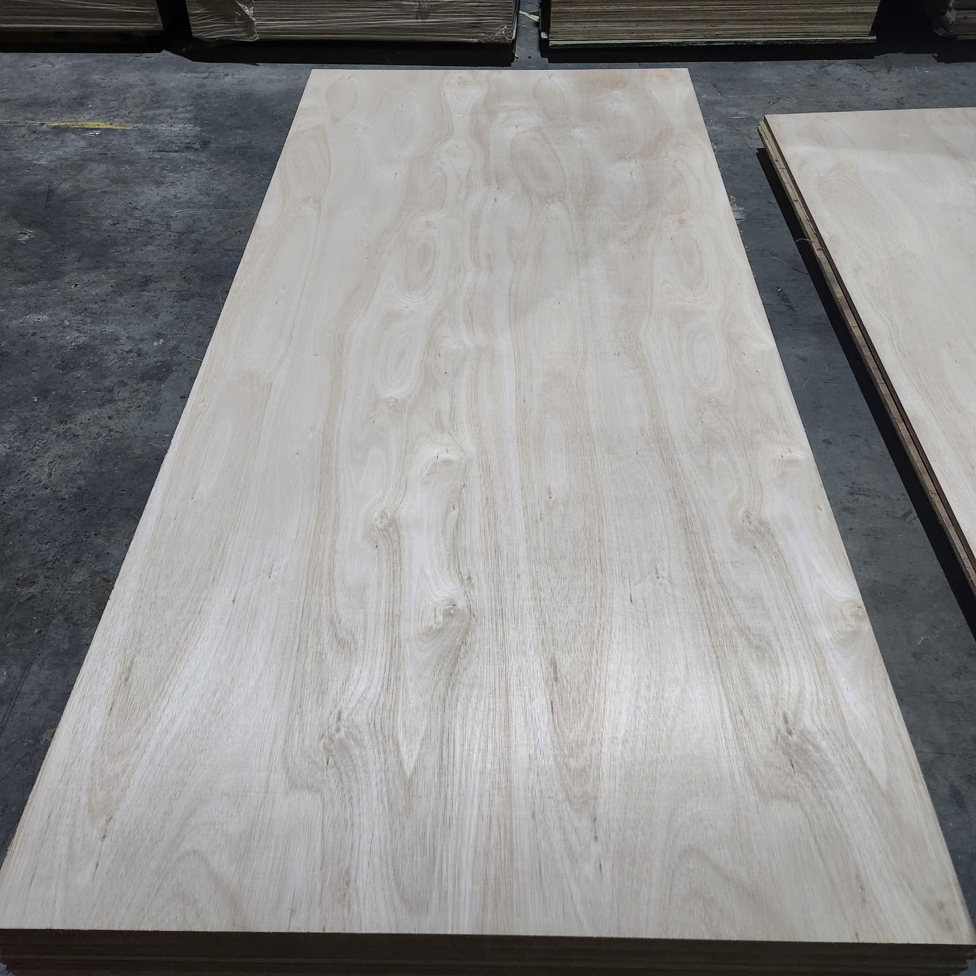 EUCALYPTUS FACED PLYWOOD