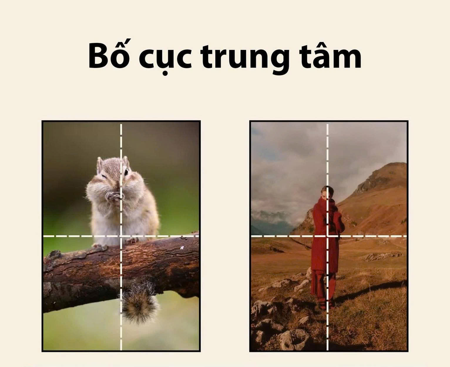 Bố cục trung tâm làm nổi bật chủ thể