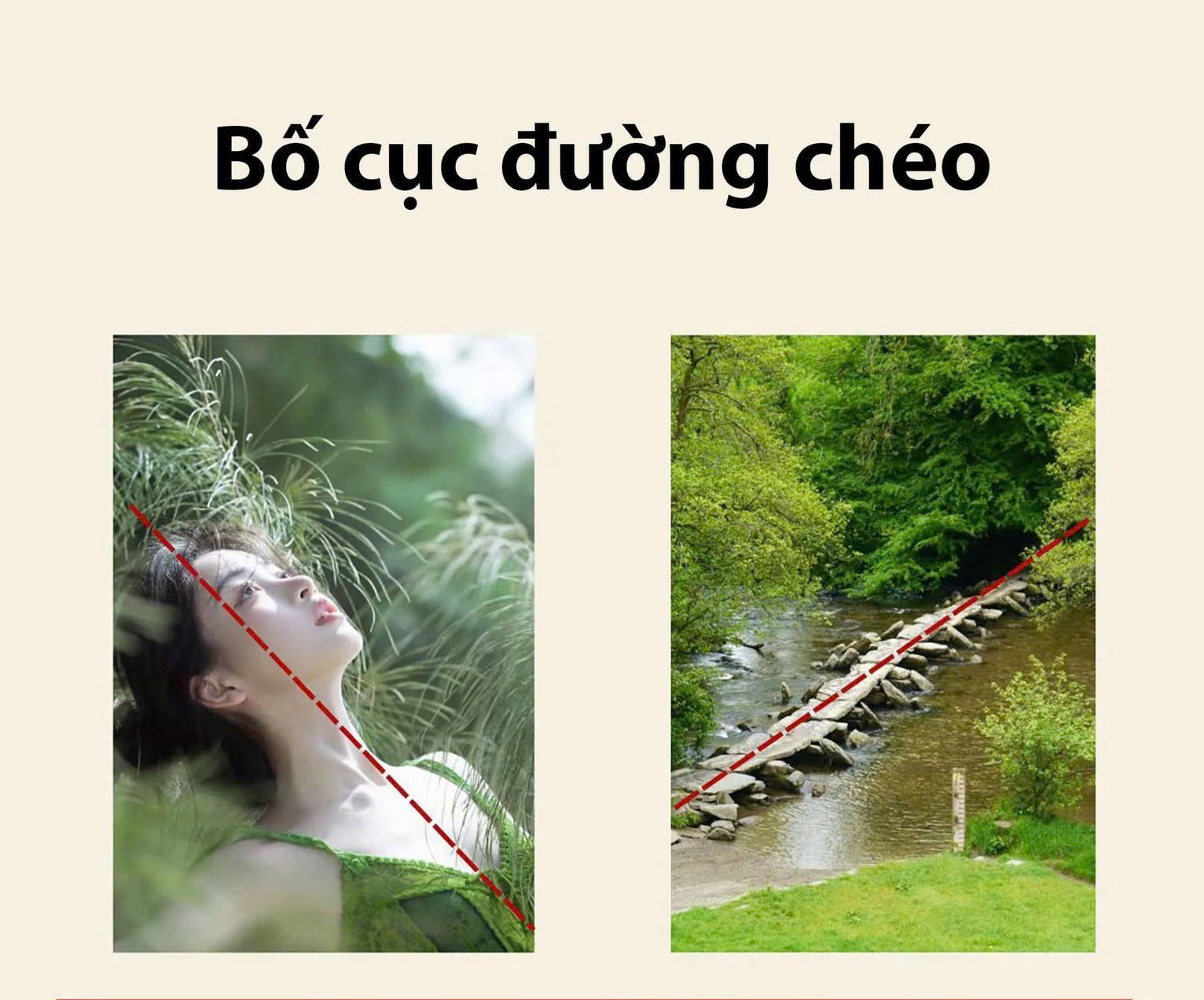Tạo chuyển động với bố cục đường chéo