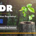 EUDR vs EUTR vs PEFC requirements and connection