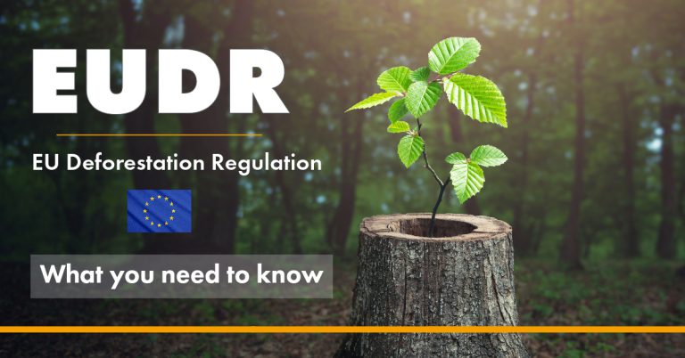 EUDR vs EUTR vs PEFC requirements and connection