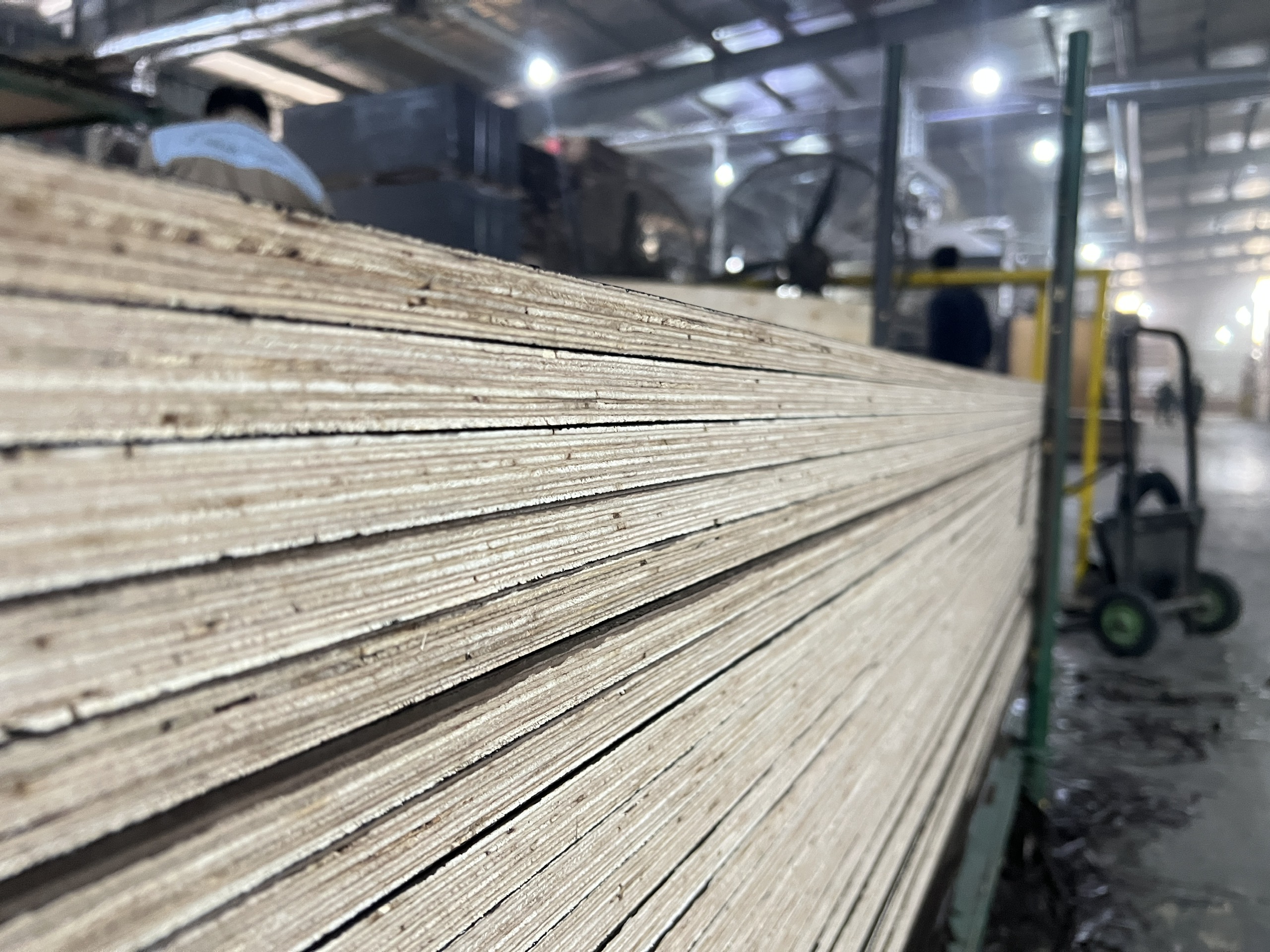VIETNAM FILM FACED PLYWOOD