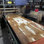 Vietnam Plywood Anti Dumping Investigation is being extended in 2023