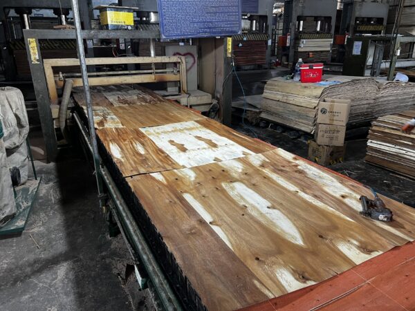 Vietnam Plywood Anti Dumping Investigation is being extended in 2023