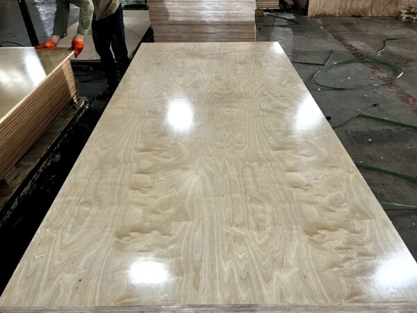 Vietnam Birch Plywood