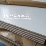 Vietnam TFL Plywood Manufacturer