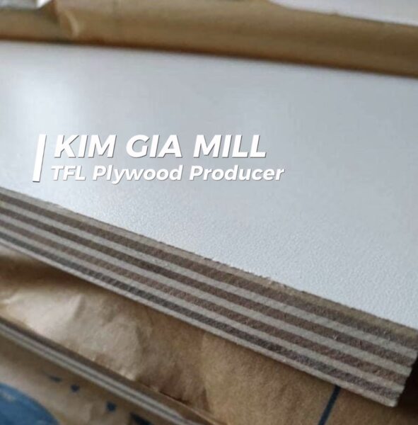 Vietnam TFL Plywood Manufacturer