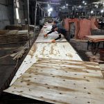 Vietnam Plywood Anti Dumping Investigation Continually Being Extended