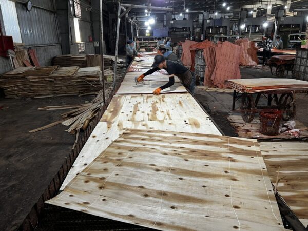 Vietnam Plywood Anti Dumping Investigation Continually Being Extended