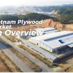 Vietnam Plywood Market Overview!