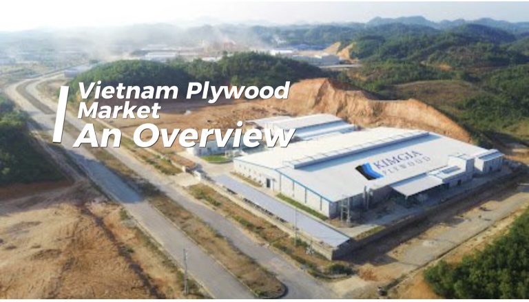 Vietnam Plywood Market Overview!