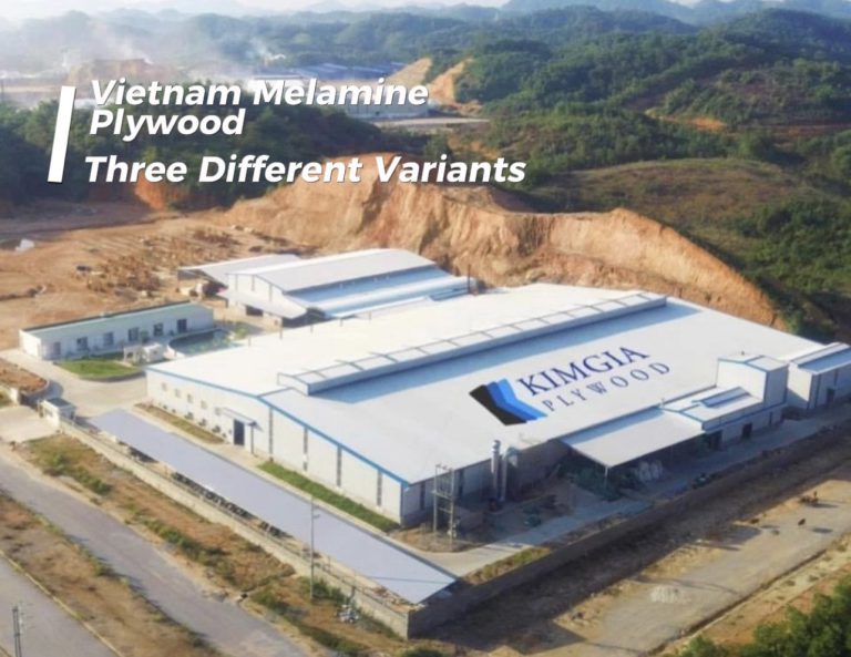 Melamine Plywood (TFL) difference variants