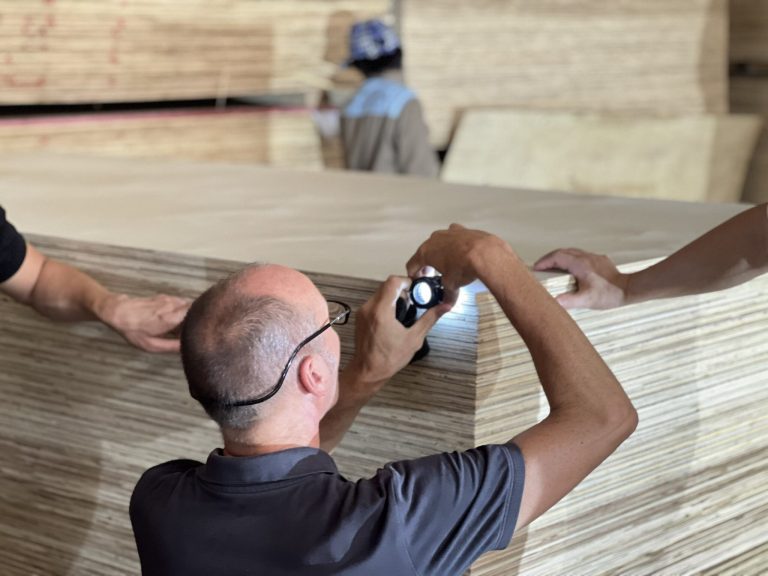 Vietnam Plywood: Rising as Europe’s Next Supply Hub?